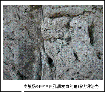  p>古风化壳是指已形成的风化壳由于种种原因被后来的堆积物所掩盖