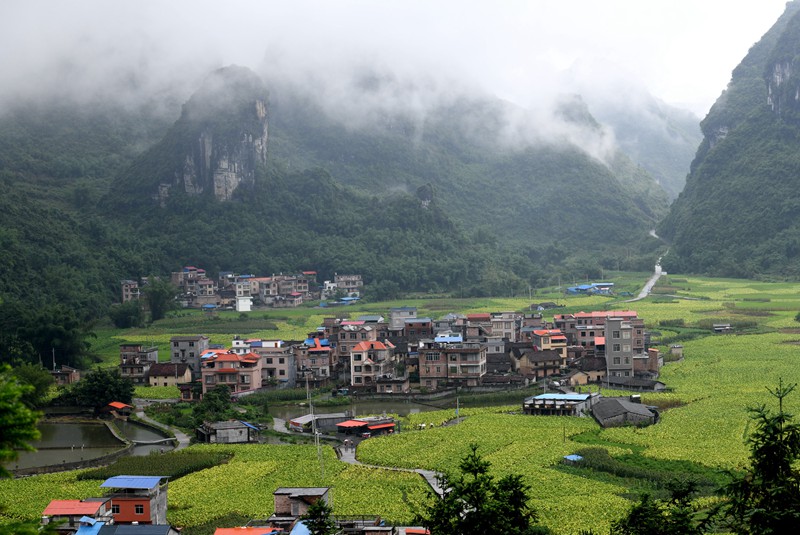  p>天河镇,广西壮族自治区河池市罗城仫佬族自治县下辖镇, span class