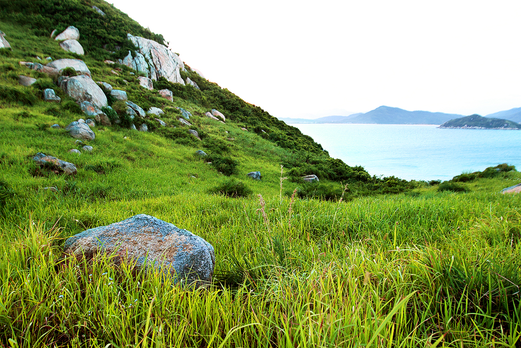  p>洲仔岛是一个无人岛,离陆地3公里,人迹罕至,未被污染.