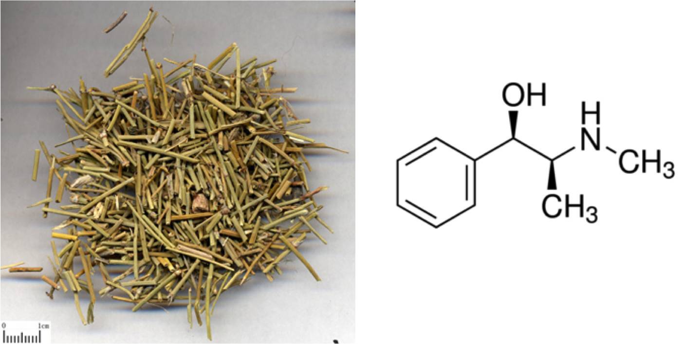 减肥药物推荐_药物减肥_减肥药物排行榜