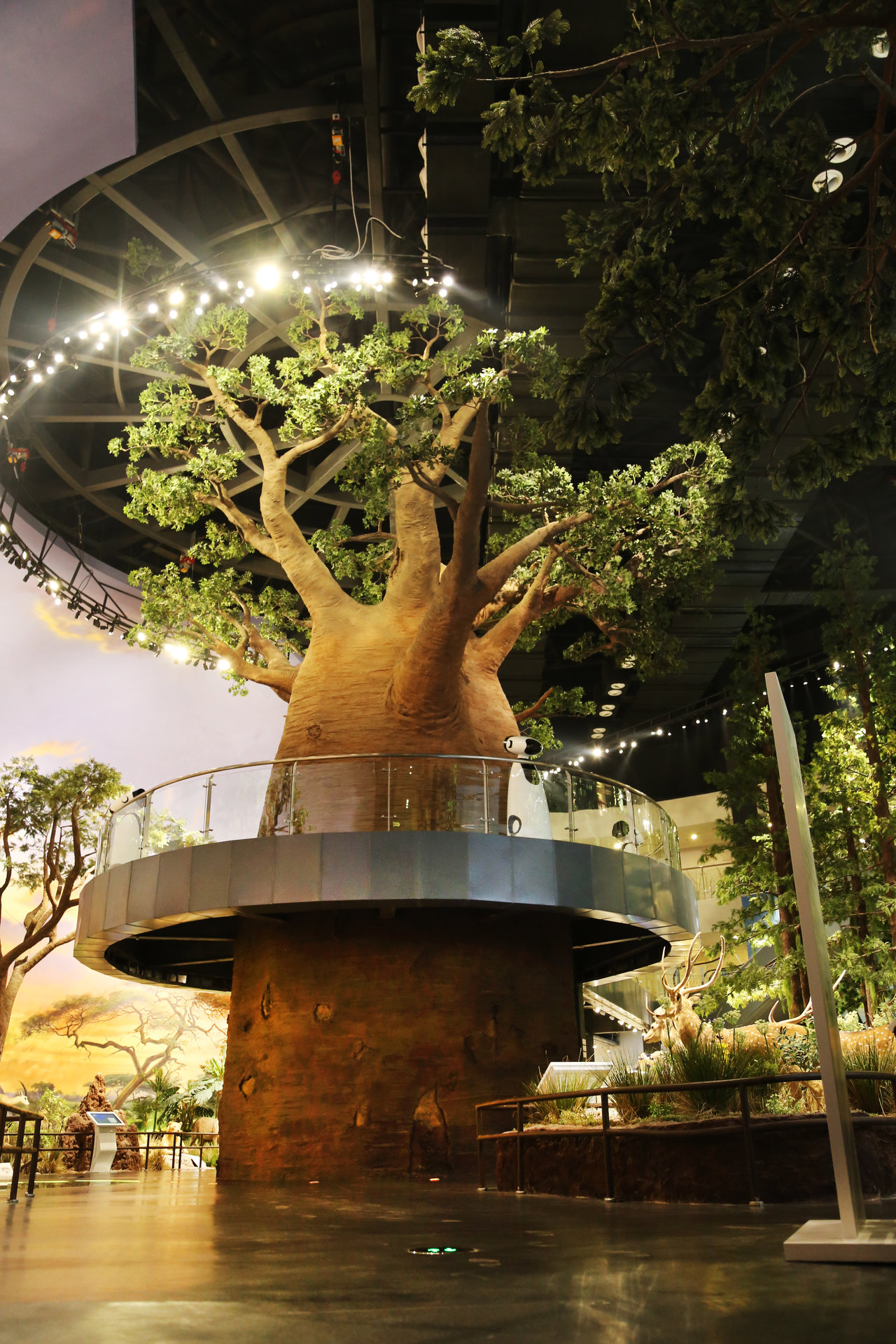 青岛贝林自然博物馆