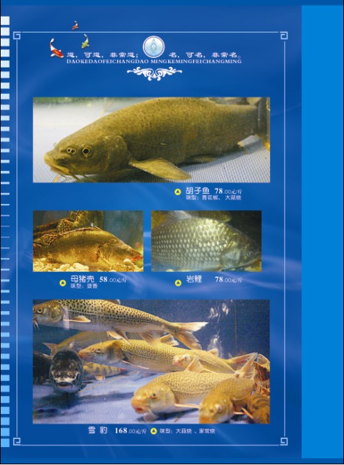 胡子鱼