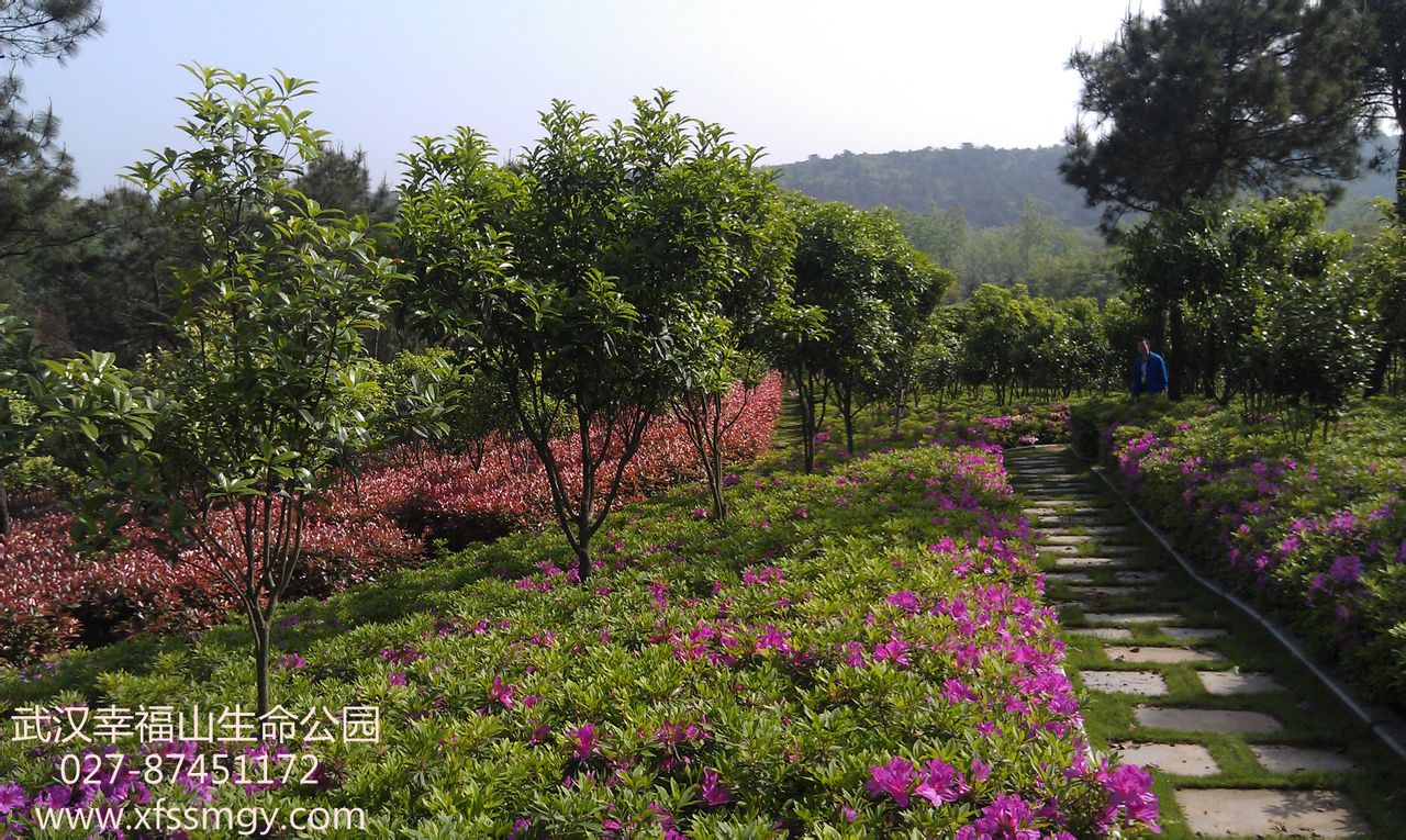 武汉幸福山生命公园