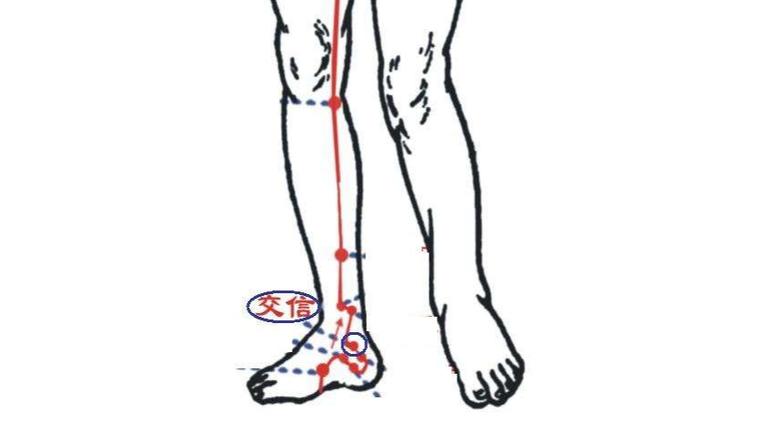 位于人体的小腿内侧,当太溪穴直上2寸.主治疾病:月经不调,崩漏等. /p>