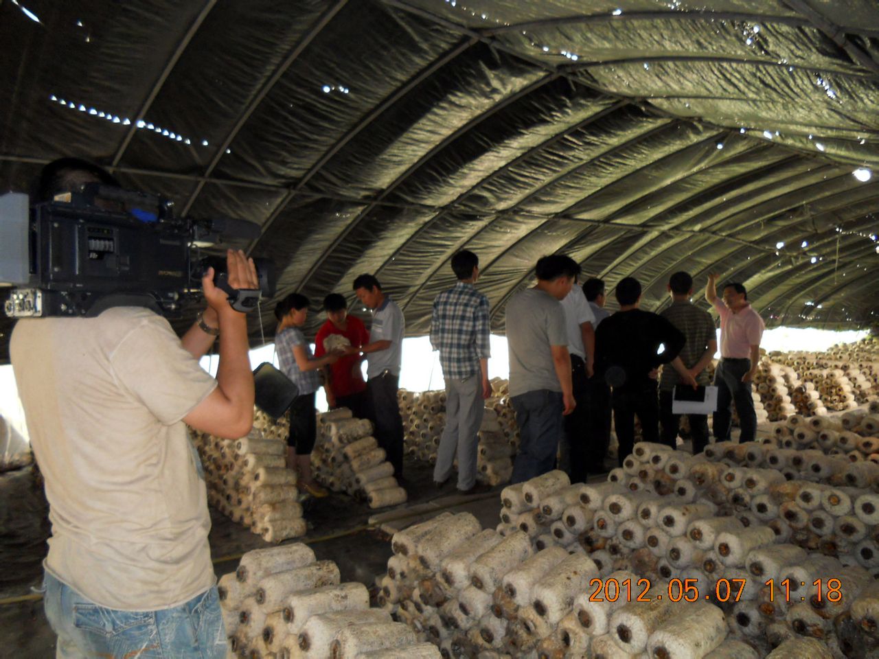 安徽省唯一一家具有食用菌办学资格的单位,同时还是国家星火培训基地