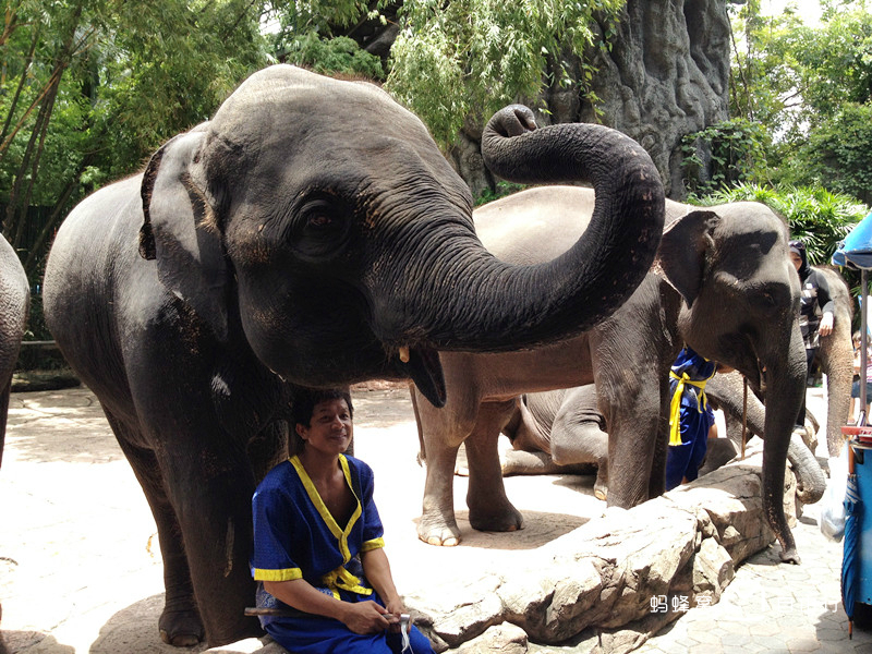 曼谷动物园