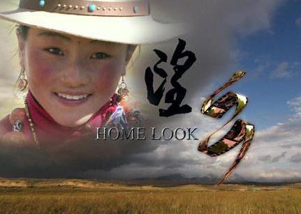 歌曲望乡(歌曲望乡女声翻唱声音沙哑)