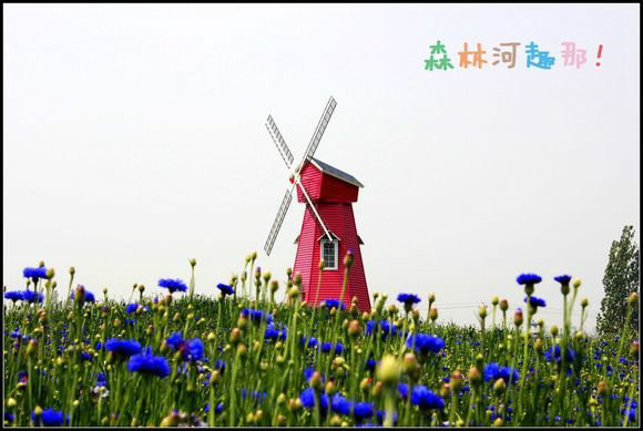  p>石家庄薰衣草庄园,又称森林河·趣那主题公园,由 a href="#" data