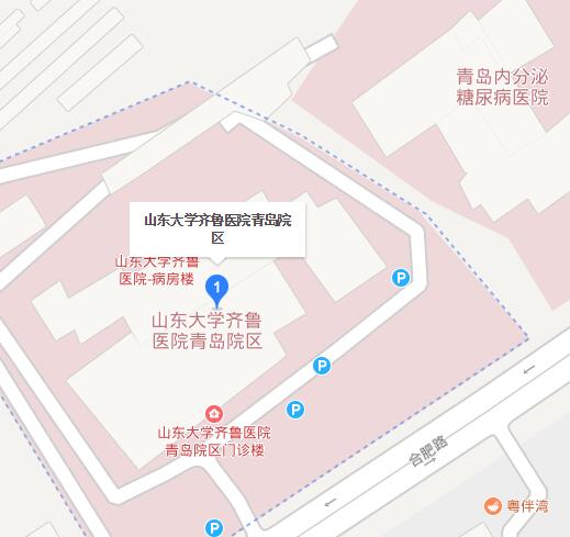 山东大学齐鲁医院青岛院区