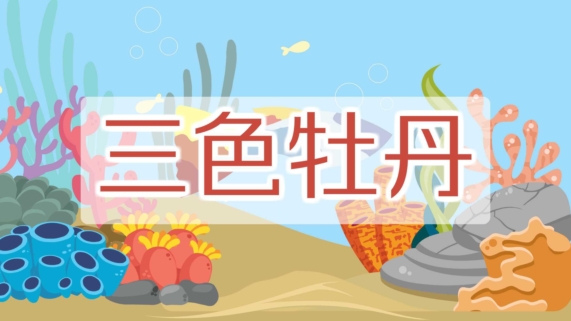 三色牡丹:一种非常皮实的鱼