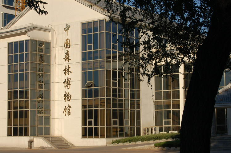 中国森林博物馆