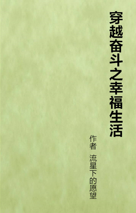 穿越奋斗之幸福生活