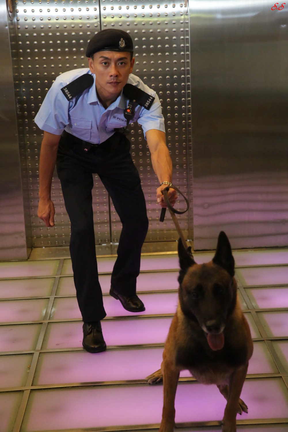 警犬巴打