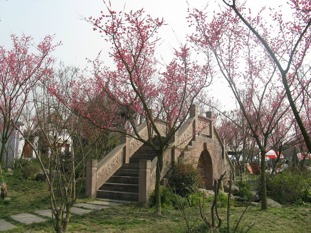 幸福梅林, a target="_blank" href="/item/成都市">成都市 /a>新农村