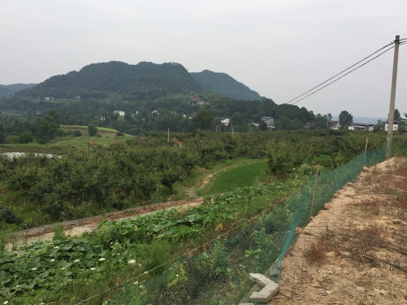  p data-id="gnhecycmx8">元山镇,隶属于四川省巴中市平昌县,地处平昌