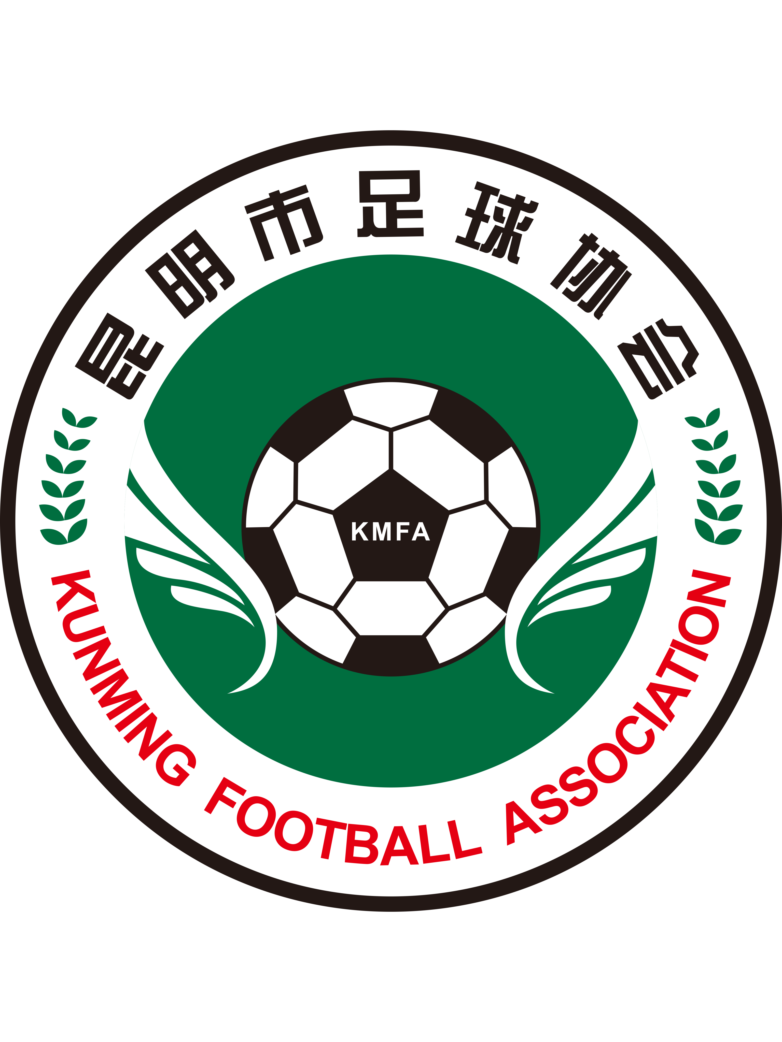 昆明市足球协会