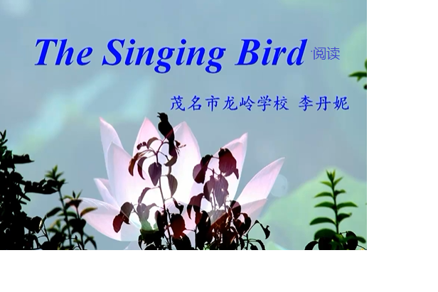 the singing bird 阅读