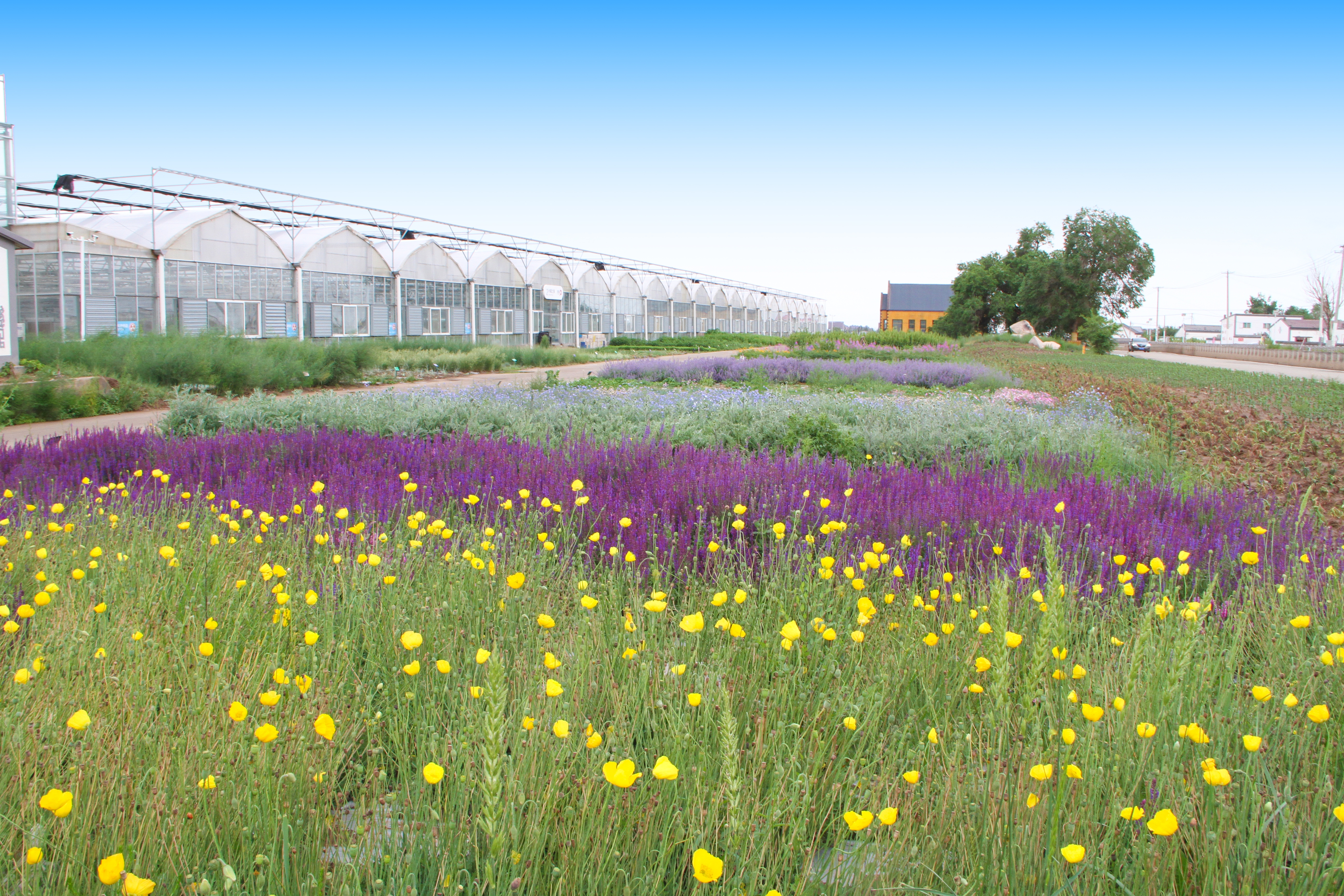 蒙草生态环境(集团)股份有限公司