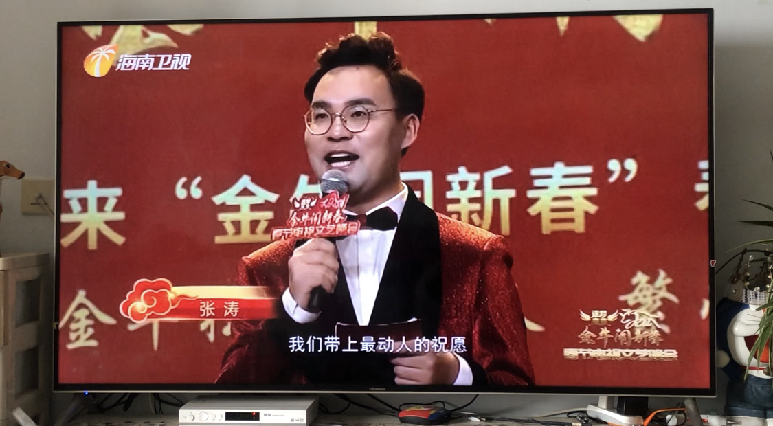 中国内地节目 a target="_blank" href="/item/主持人