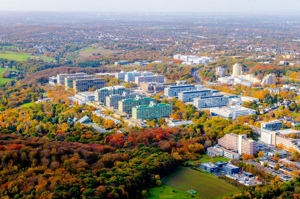  p data-id="gnvi5hy97l">波鸿鲁尔大学(ruhr-universit  t bochum)是