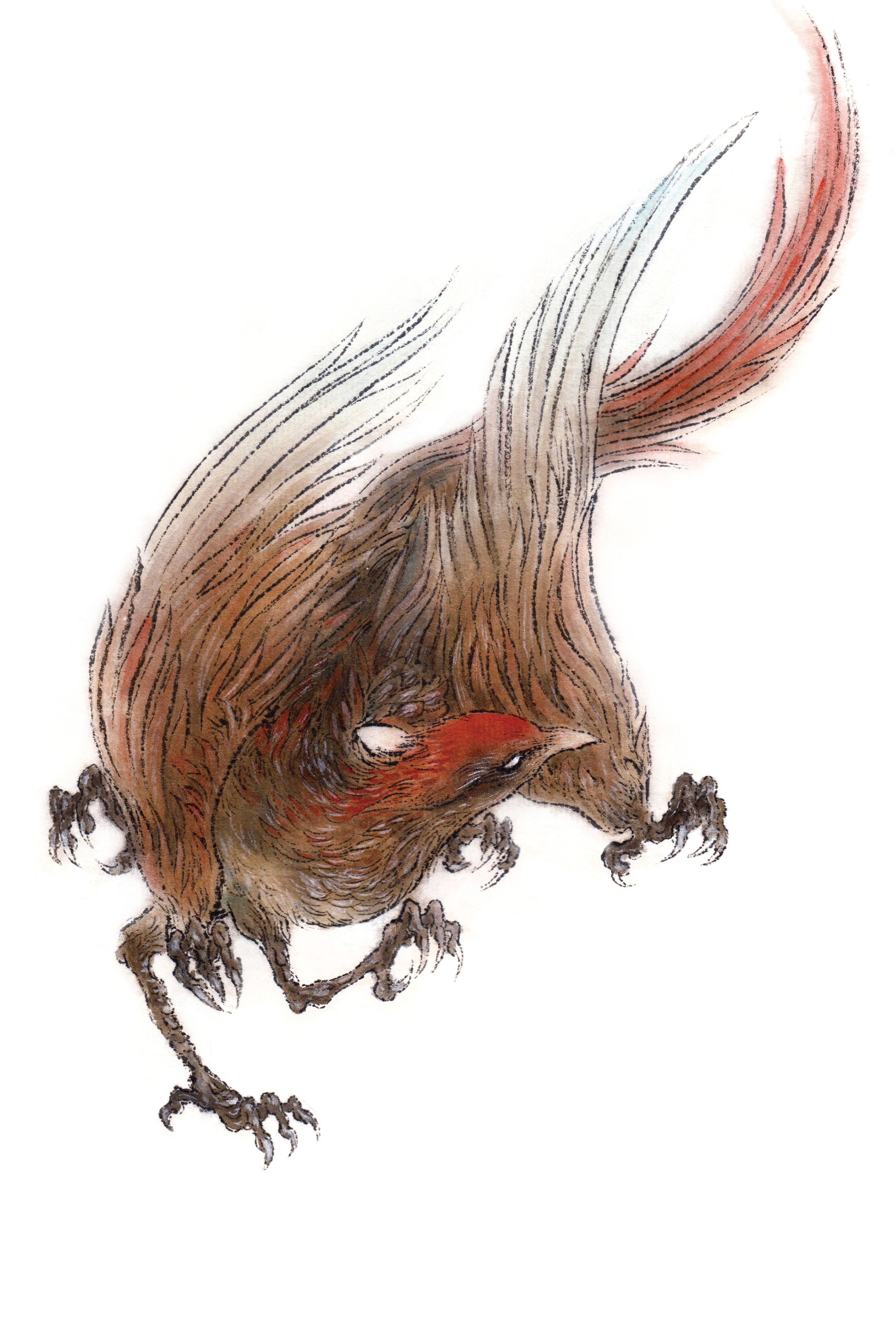  /p> p>据《山海经-北次三经》记载:形状像喜鹊,长者白色羽毛,红色