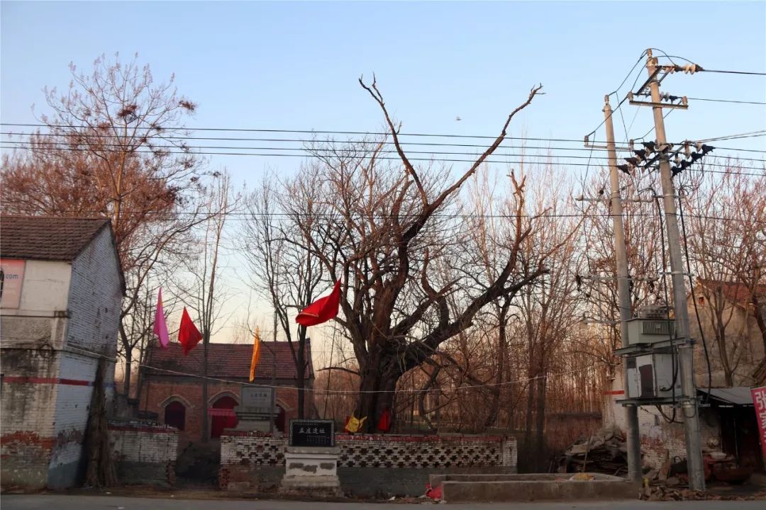 岗王乡