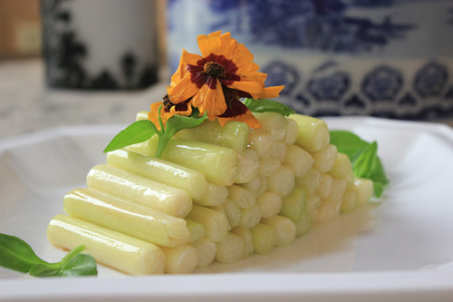 又名深蒲,蒲荔久,蒲笋,蒲芽,蒲白,蒲儿根,蒲儿菜,为香蒲科多年生植物 