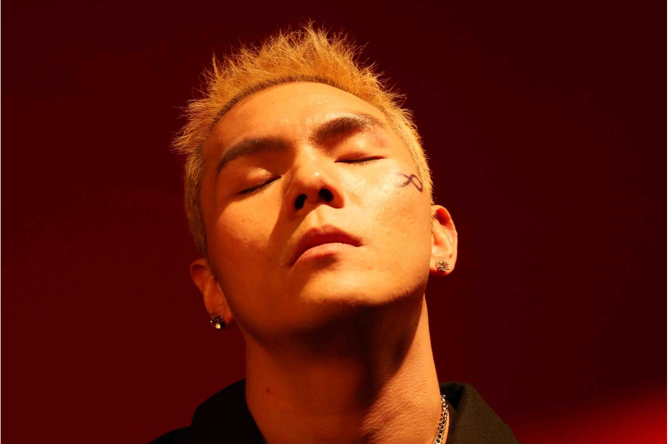  p>大傻(damnshine),本名盛宇,1988年5月28日出生于湖南省长沙市,中国