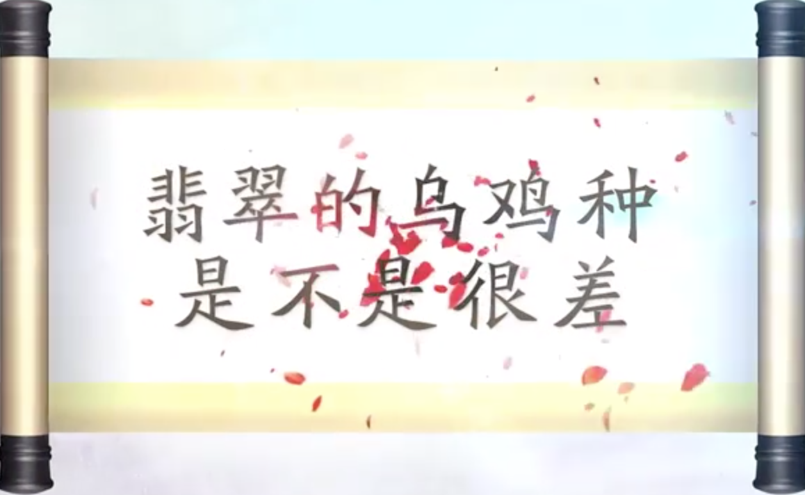 什么是翡翠的乌鸡种?乌鸡种值钱吗?