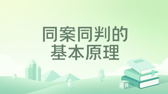 同案同判的基本原理_百度百科