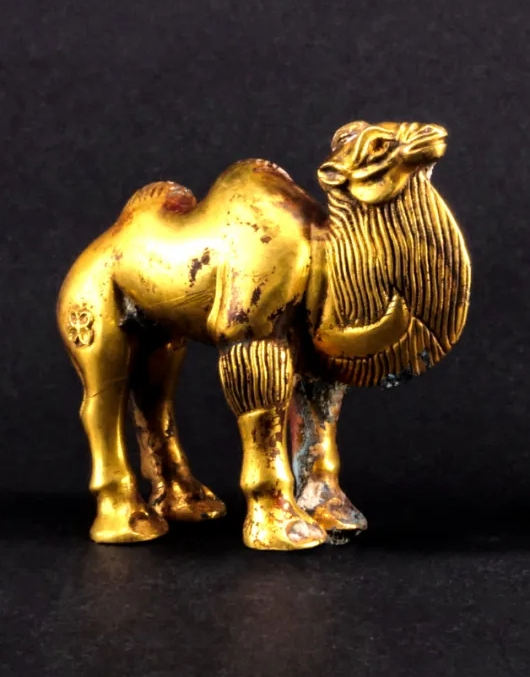 金骆驼