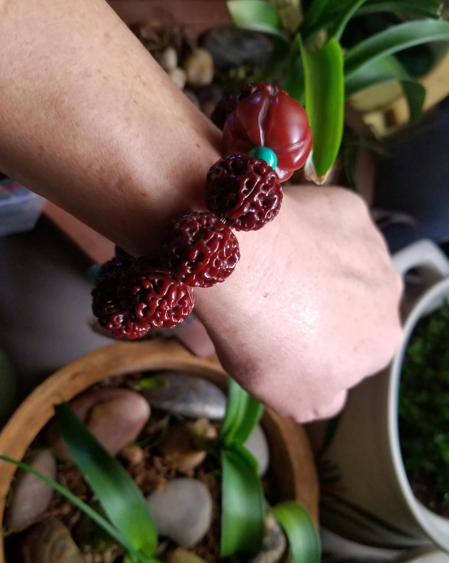 首先要知道的黄尖就是我们可以在金刚菩提上看到的明显的黄色,有人会