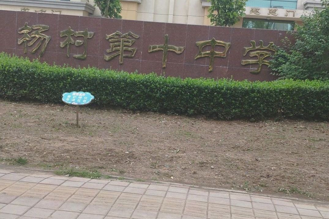 天津市武清区杨村第十中学