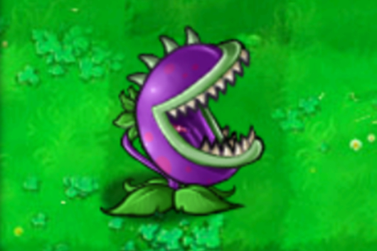  p>大嘴花(chomper)又名食人花,是益智策略类塔防御战游戏《 a href="