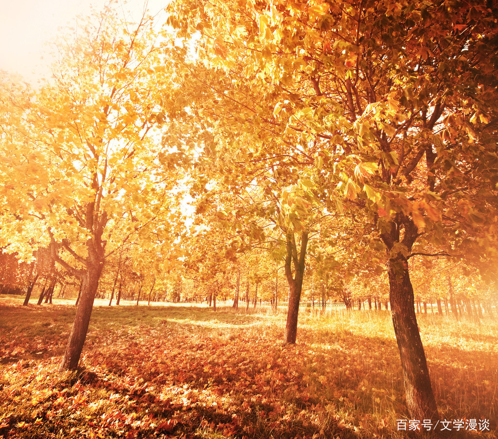 那些用错的古诗词，专家怎么说？其实人们将错就错也无伤大雅_百科TA说