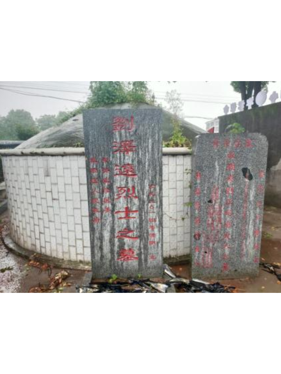 刘泽远烈士之墓
