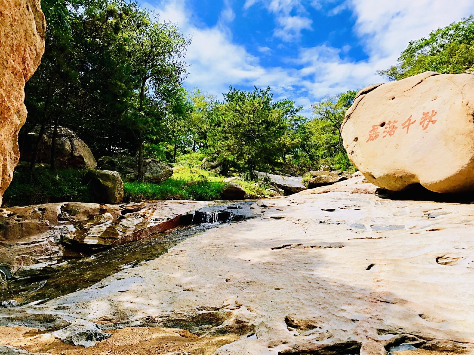 p>临朐黑松林位于山东省潍坊市临朐县九山镇黑松林景区. /p>