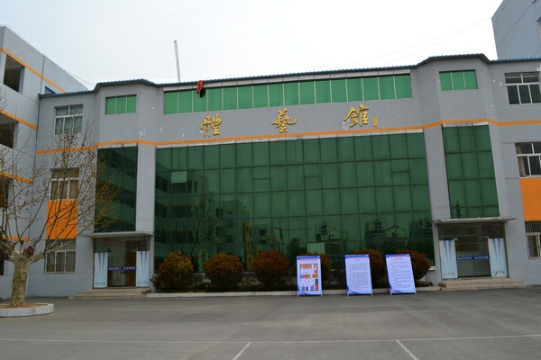 教育集团凭借其雄厚的实力于2011年6月正式打造高质量的泗阳致远小学