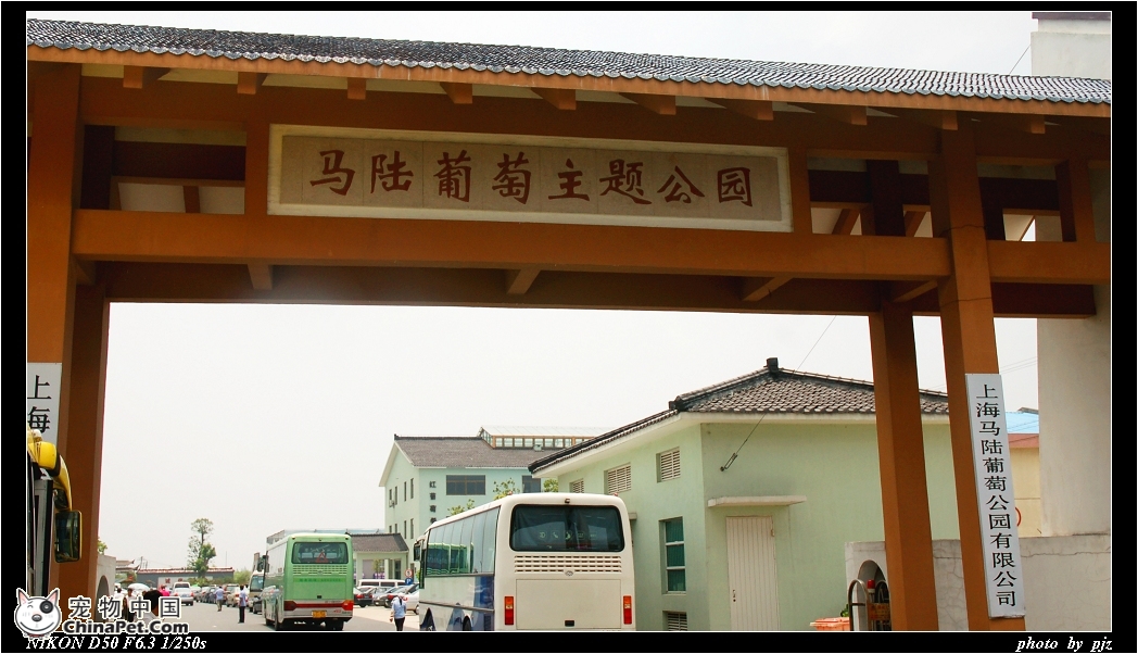 马陆葡萄主题公园