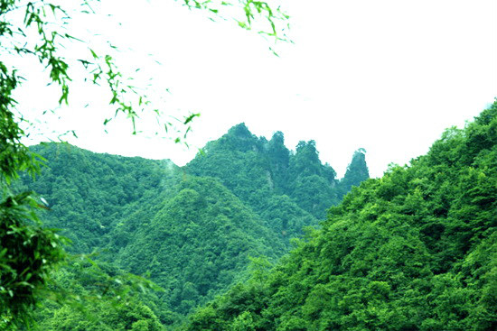 七姊妹山自然保护区