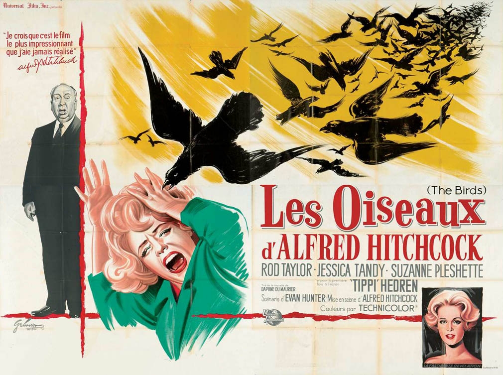 群鸟(dvd)(特价版)