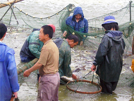  p data-id="suvnxoydo3so">东岱镇,隶属福建省福州市连江县,地处 a