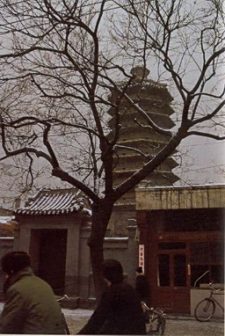 <p>历史