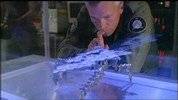 Replicators_百度百科