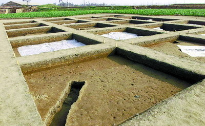 什方堂邛窑遗址