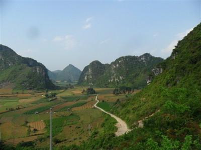 广西宜州