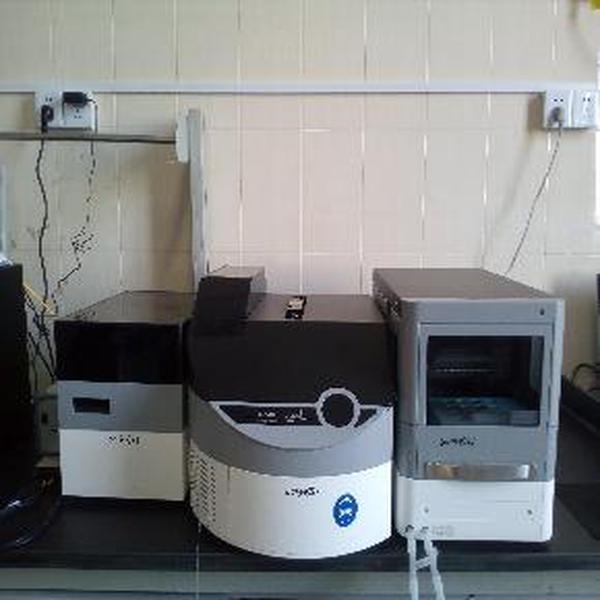 全自动氨基酸分析仪度