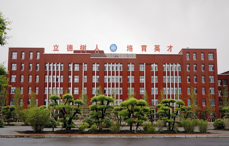 0ujwv8s">望奎县第一中学,2012年增名林枫中学,是绥化市市级示范高中