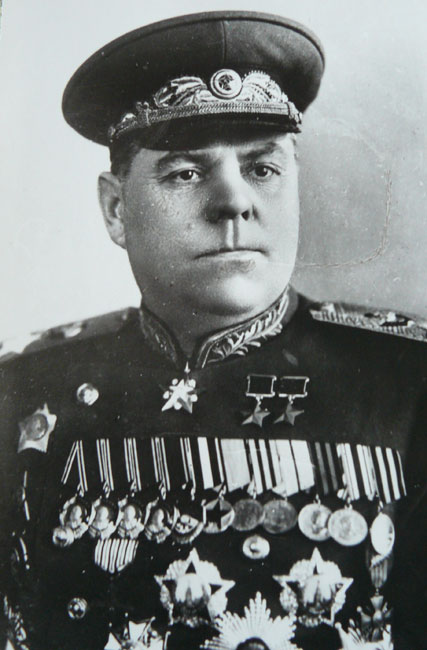 亚历山大·米哈伊洛维奇·瓦西里耶夫斯基