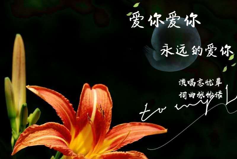  p>忘忧草2020发布新歌《爱你爱你永远的爱你》!